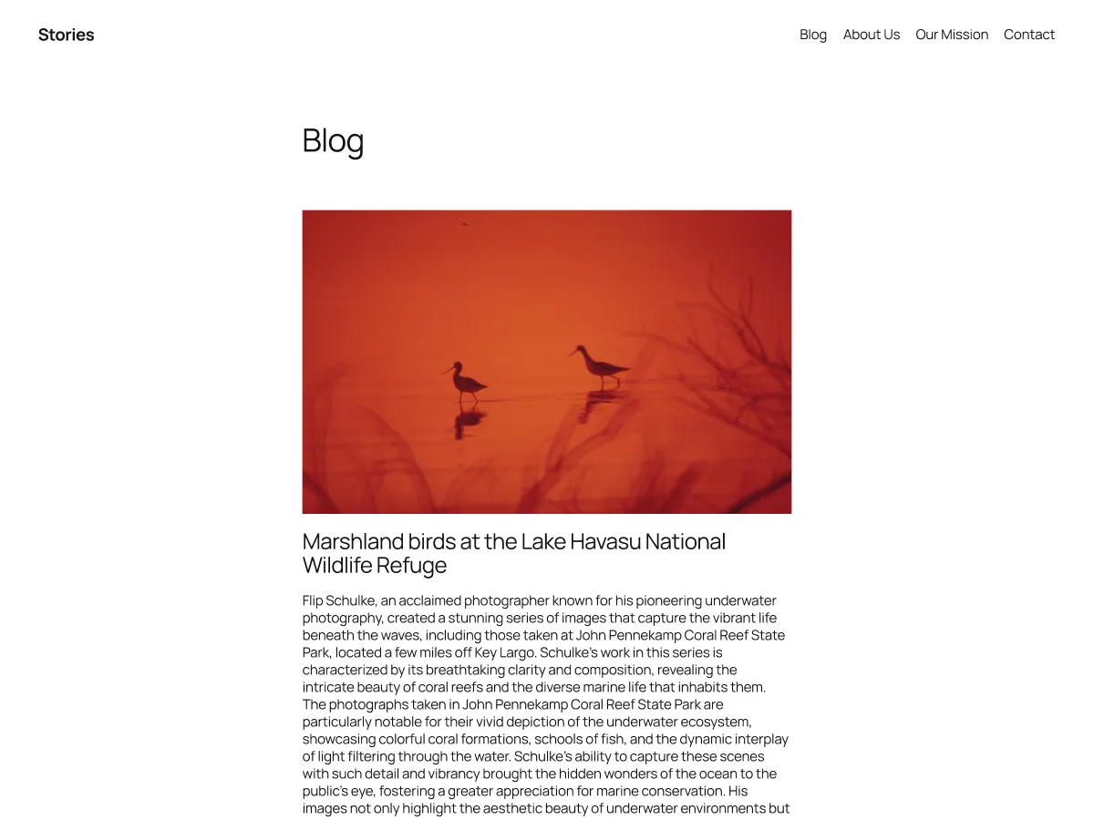 Twenty Twenty-Five official WordPress.org theme screenshot